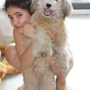 Meet your Posher, Jelyn